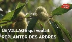 « Le village qui voulait replanter des arbres » : une belle leçon politique « Le village qui voulait replanter des arbres » : une belle leçon politique