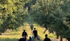 Rencontres estivales et rurales Rencontres estivales et rurales