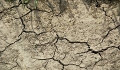Sécheresse : la grande alerte du monde rural Sécheresse : la grande alerte du monde rural