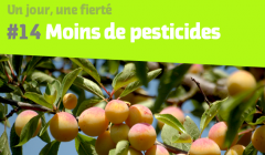 Un jour, une fierté Un jour, une fierté