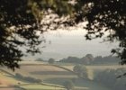 Accaparement des terres agricoles : une proposition de loi examinée en janvier