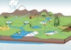 Les méga-bassines sont-elles des solutions viables face aux sécheresses ? Les méga-bassines sont-elles des solutions viables face aux sécheresses ?