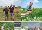 Agriculture à sec : 3 engagements concrets