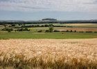 Loi Duplomb : entrave à l'agroécologie... et à la démocratie
