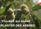 « Le village qui voulait replanter des arbres » : une belle leçon politique « Le village qui voulait replanter des arbres » : une belle leçon politique