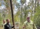 Forêt : un état des lieux post canicule