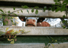 Loi Duplomb : entrave à la démocratie et à l'agroécologie Loi Duplomb : entrave à la démocratie et à l'agroécologie