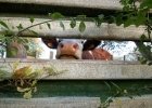 France Info : les conséquences de la sécheresse pour les éleveurs et notre souveraineté alimentaire France Info : les conséquences de la sécheresse pour les éleveurs et notre souveraineté alimentaire