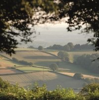 Accaparement des terres agricoles : une proposition de loi examinée en janvier