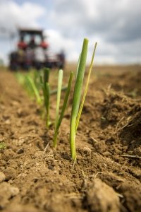 L'agroécologie c'est maintenant !