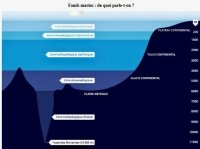 Un moratoire sur l'exploitation minière des fonds marins