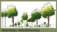 Eaux et forêts : nos communs écologiques