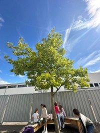 Pays du Saintois : « Devenir un citoyen, autonome, libre, éclairé, acteur du monde actuel et de celui de demain »