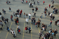 Orientation scolaire et inégalités