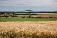 Loi Duplomb : entrave à l'agroécologie... et à la démocratie Loi Duplomb : entrave à l'agroécologie... et à la démocratie