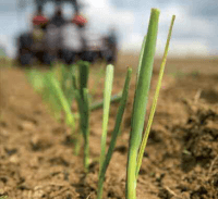 Pesticides : un devoir de réciprocité ! Pesticides : un devoir de réciprocité !