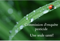 Suivez les auditions de la Commission d'enquête sur les pesticides 