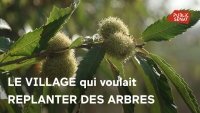 « Le village qui voulait replanter des arbres » : une belle leçon politique « Le village qui voulait replanter des arbres » : une belle leçon politique