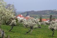 Nos ruralités, une chance pour la France