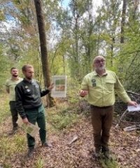 Forêt : un état des lieux post canicule