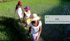 Afrique - Europe : un monde en commun Afrique - Europe : un monde en commun
