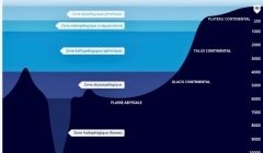 Un moratoire sur l'exploitation minière des fonds marins