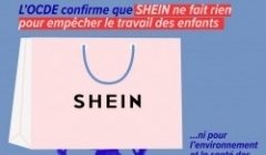 SHEIN : 2 ans après ma saisine, un rapport sans appel