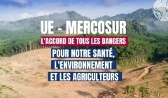 Transpartisan et transyndical : un front uni contre l'accord UE-Mercosur Transpartisan et transyndical : un front uni contre l'accord UE-Mercosur