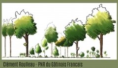 Eaux et forêts : nos communs écologiques Eaux et forêts : nos communs écologiques