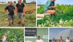 Agriculture à sec : 3 engagements concrets