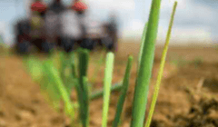 Partage de la terre : le combat doit continuer Partage de la terre : le combat doit continuer