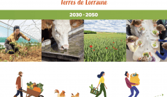 Une trajectoire de transition agricole et alimentaire