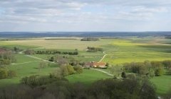 « Foncier agricole : retrouver la boussole »