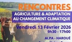 Agriculture locale : quelles solutions face au dérèglement climatique ?
