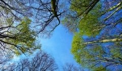Sobriété numérique : enfin à l'Assemblée ! Sobriété numérique : enfin à l'Assemblée !