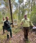 Forêt : un état des lieux post canicule