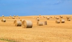 Vote sur la PAC : une réforme de la politique agricole qui n'a plus de commune que le nom