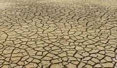 Climat : quel financement au delà du plan de relance ? Climat : quel financement au delà du plan de relance ?
